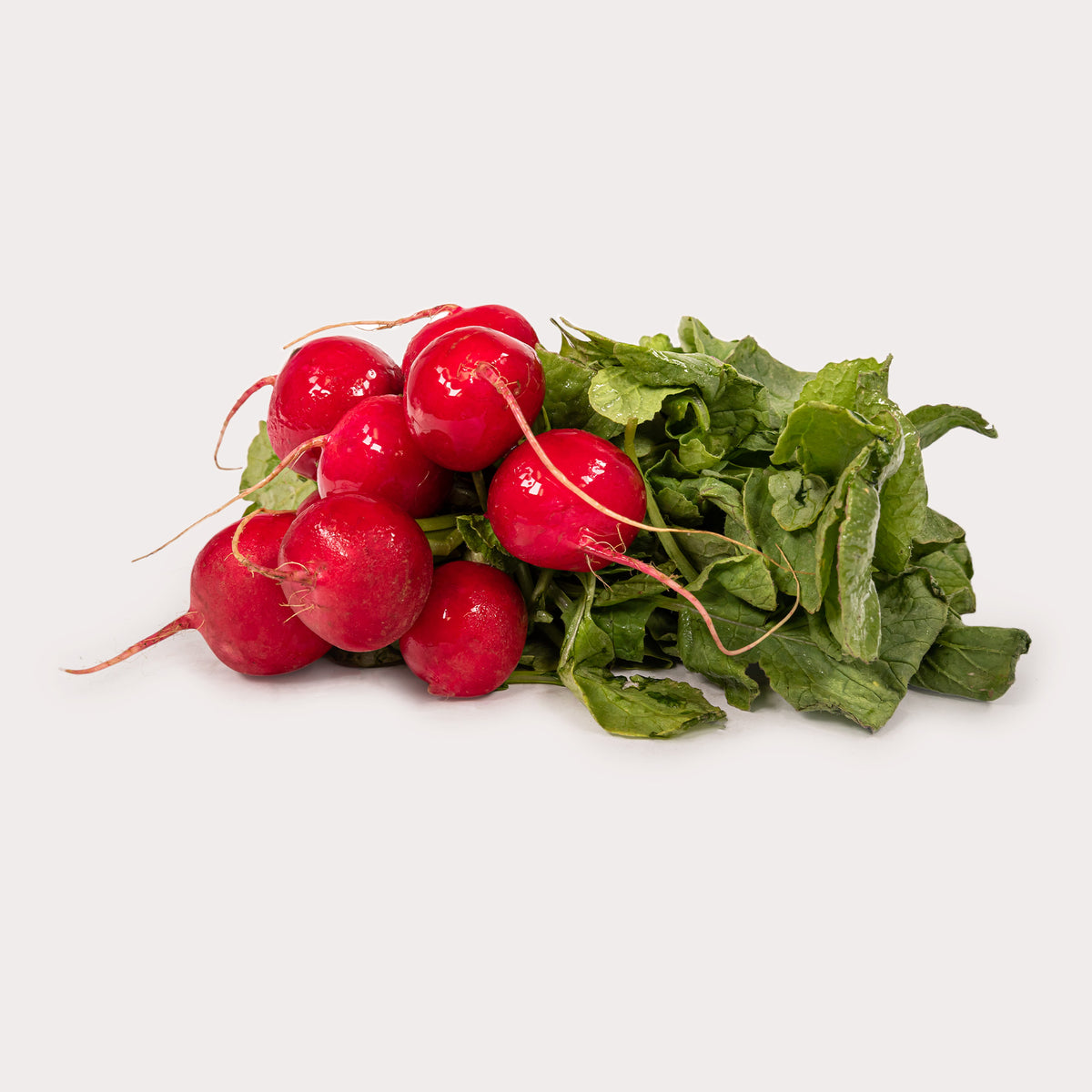 Produce Red Radish