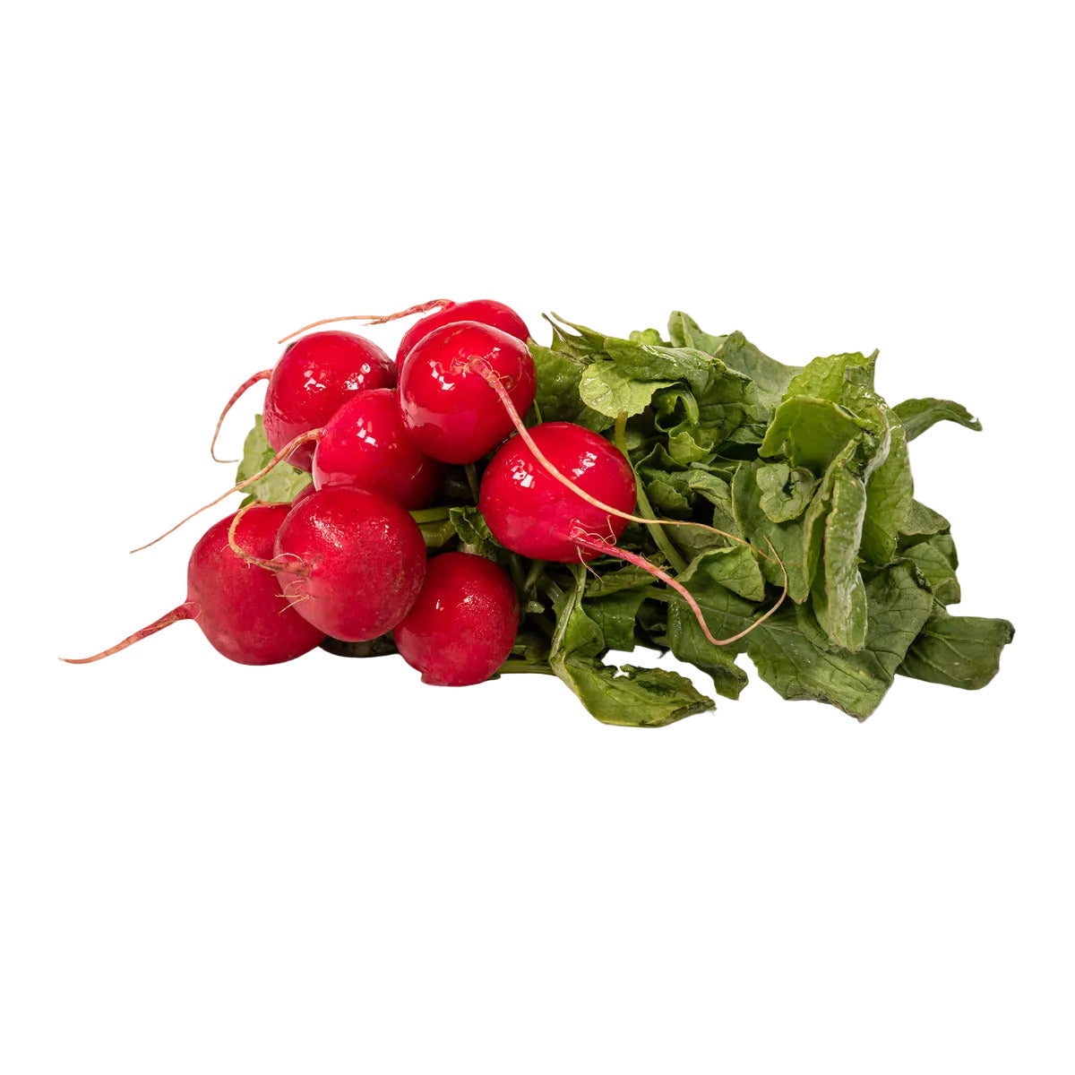 Produce Red Radish