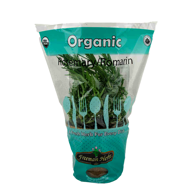 Organic Rosemary