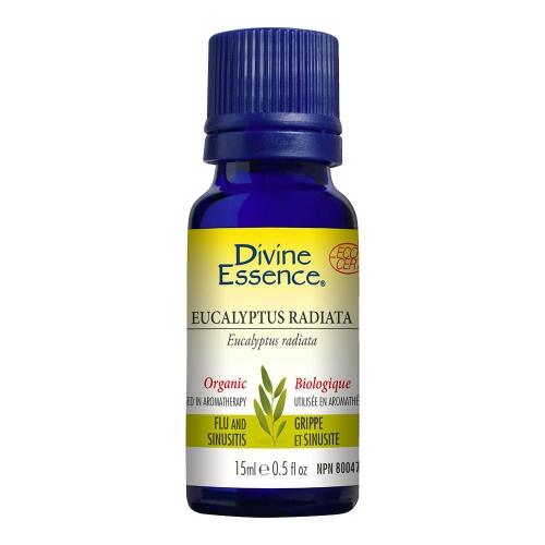 Divine Essence Eucalyptus Radiata Oil