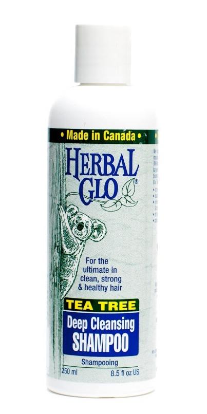 Herbal Glo Tea Tree Shampoo