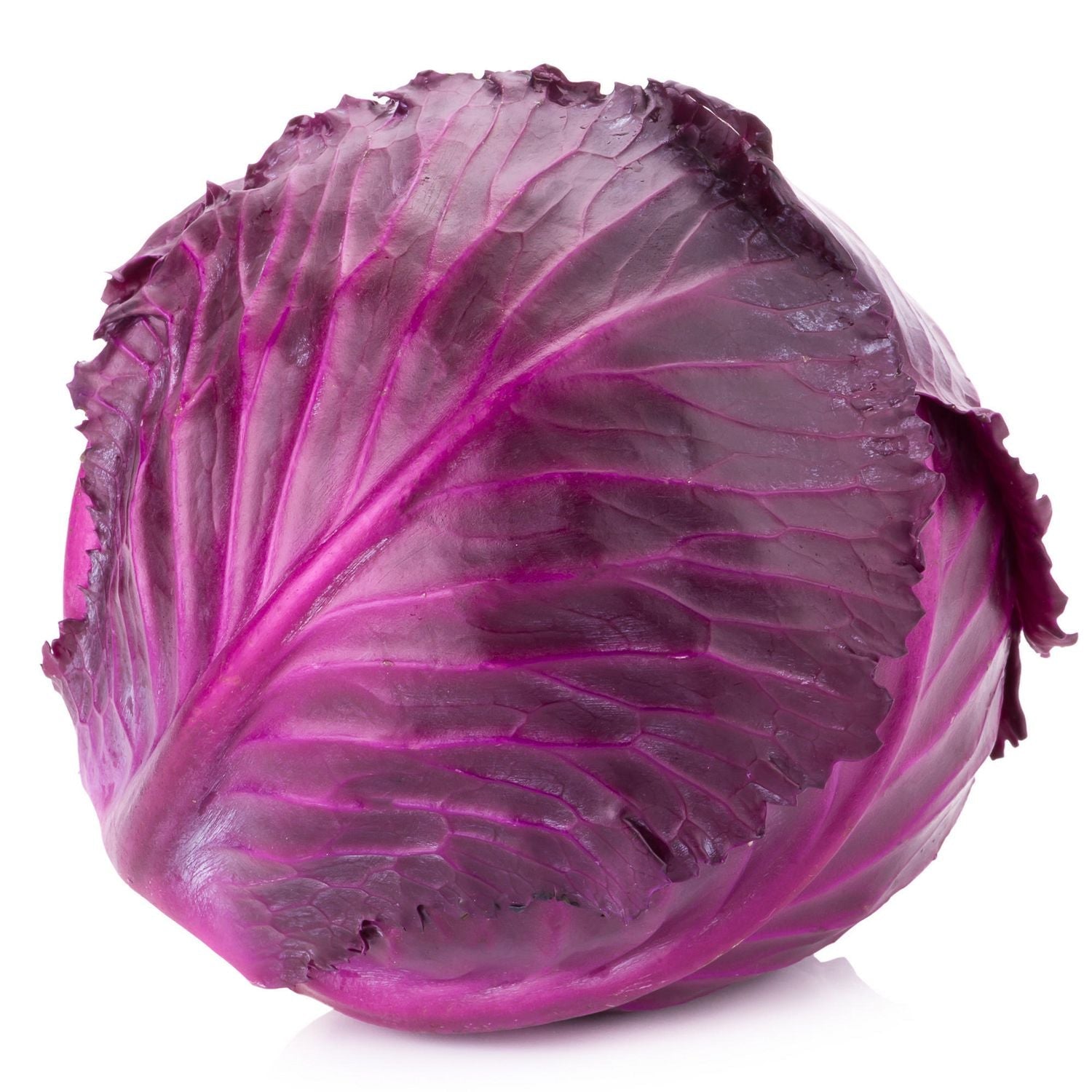 Organic Red Cabbage