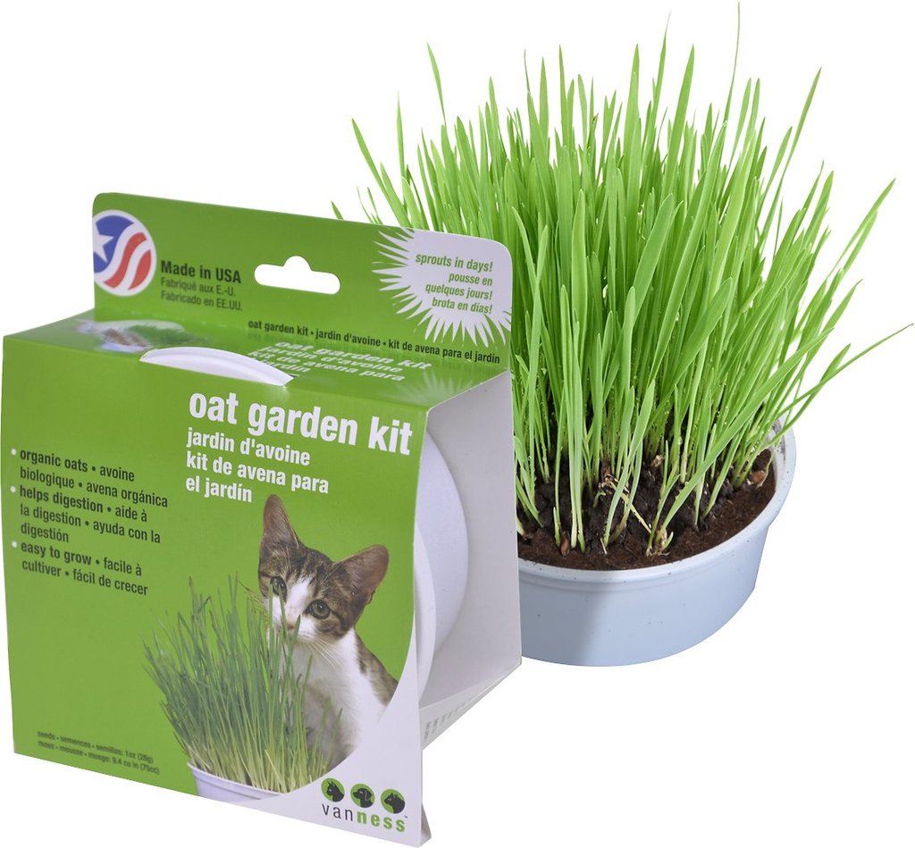 Vanness Organic Oat Garden Kit