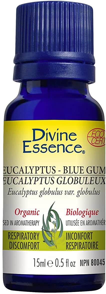 Divine Essence Eucalyptus Blue Gum Oil