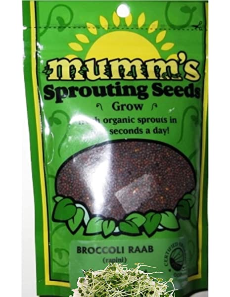 Rapini (Broccoli Raab) Sprouting Seeds