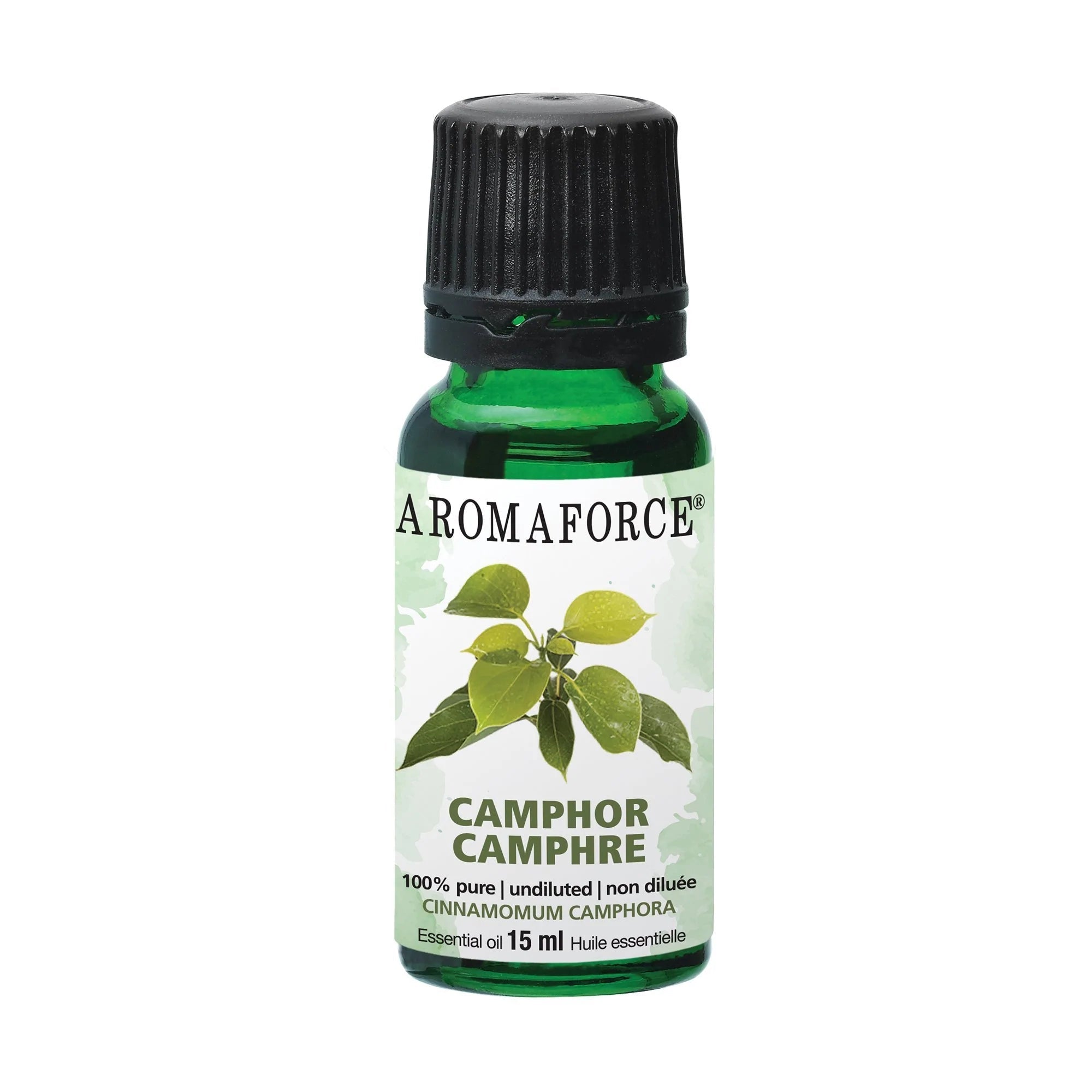 Camphor Oil