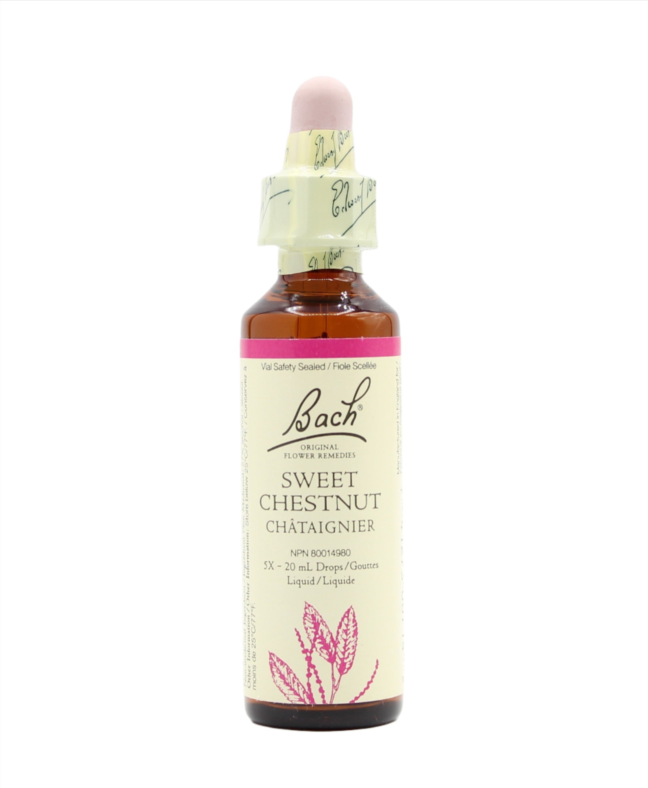 Sweet Chestnut Essences