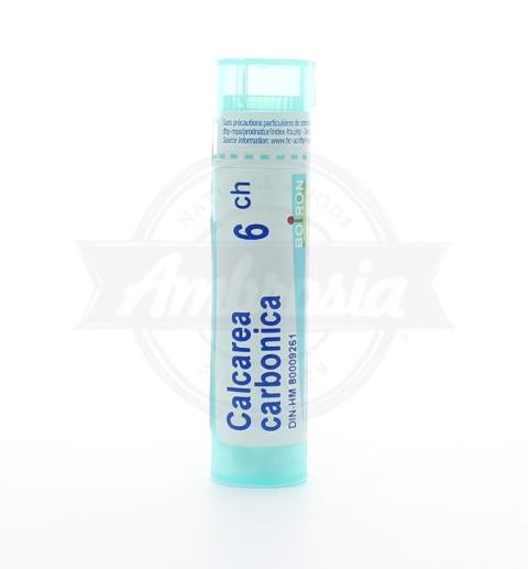 Calcarea Carbonica 6Ch