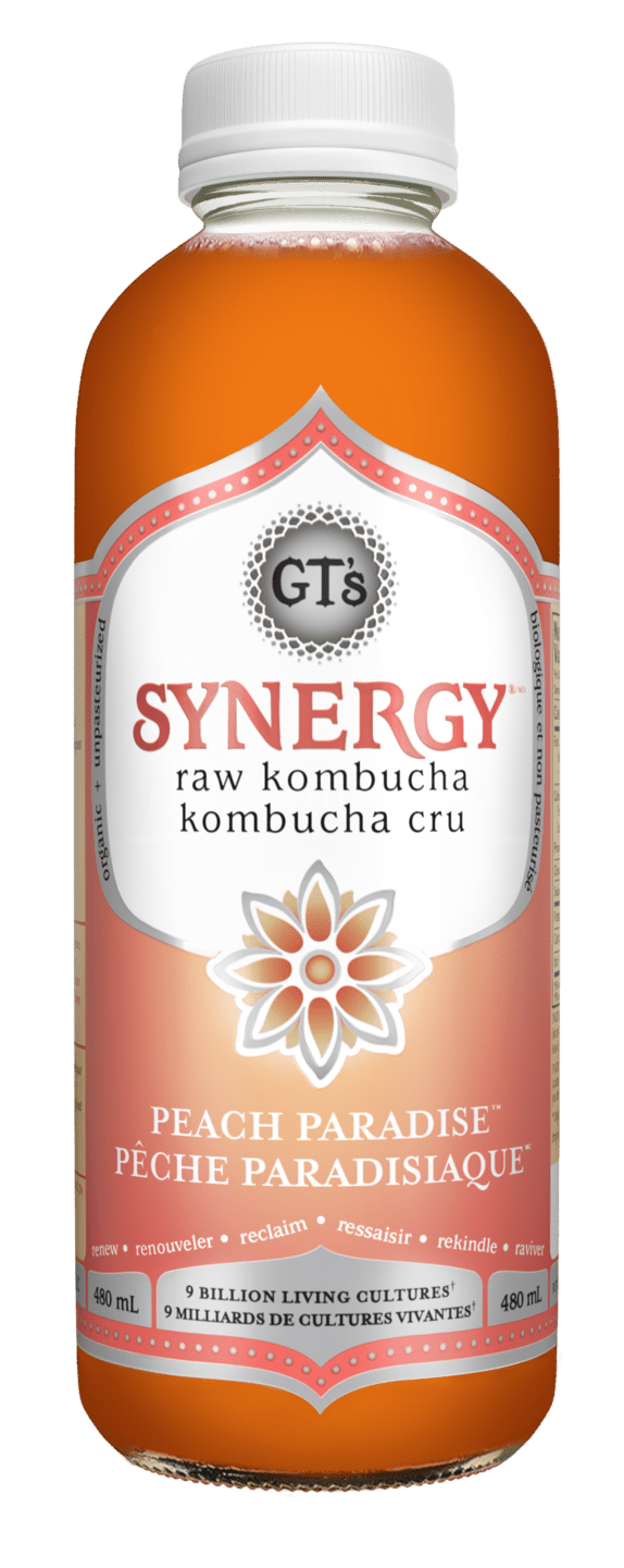GT'S Synergy Peach Paradise Kombucha