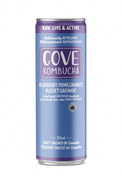 Blueberry Pomegranate Kombucha