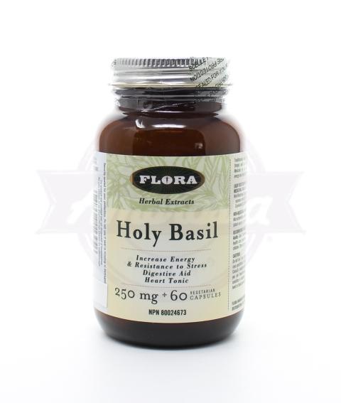 Flora Holy Basil