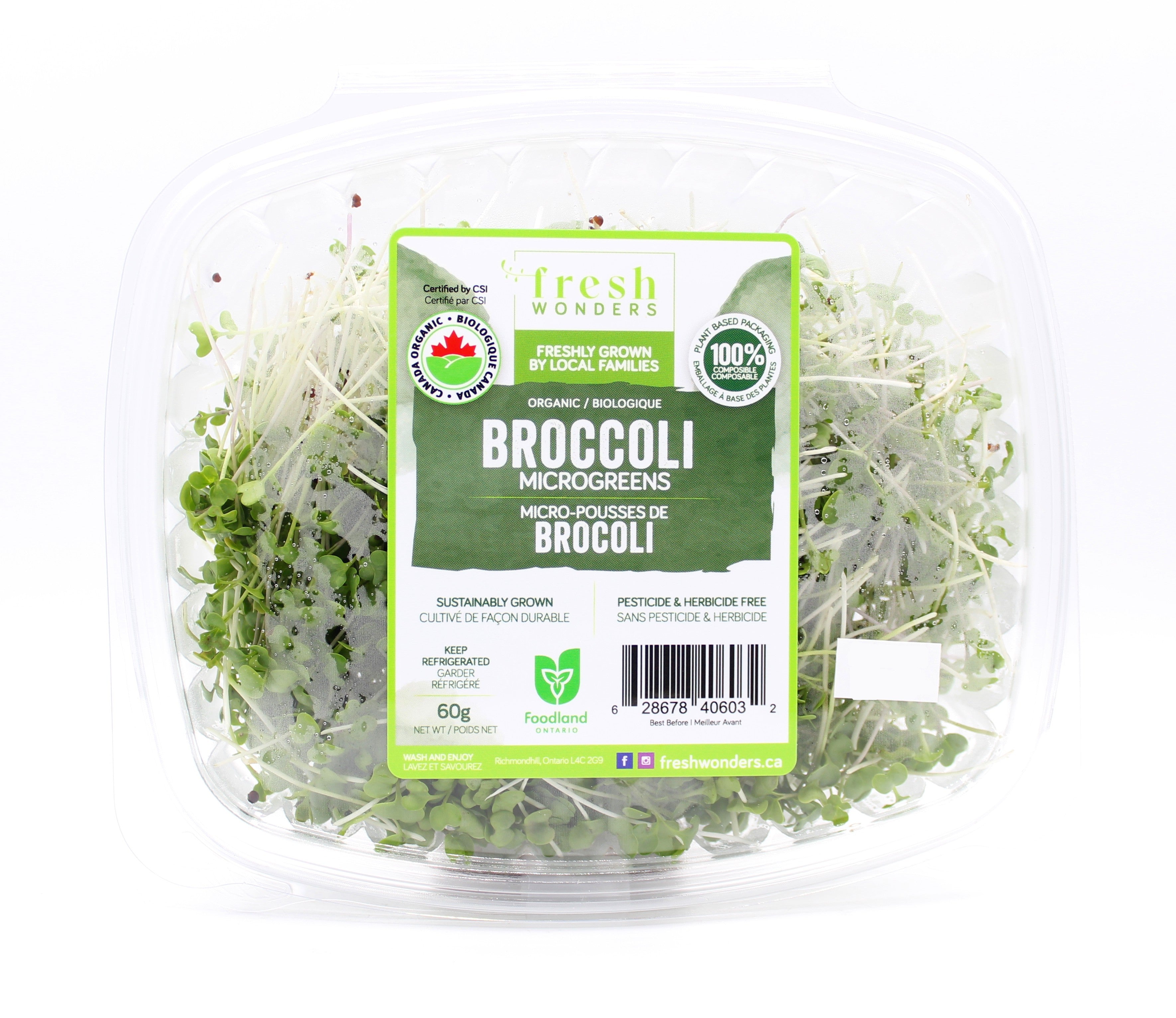 Organic Broccoli Microgreens