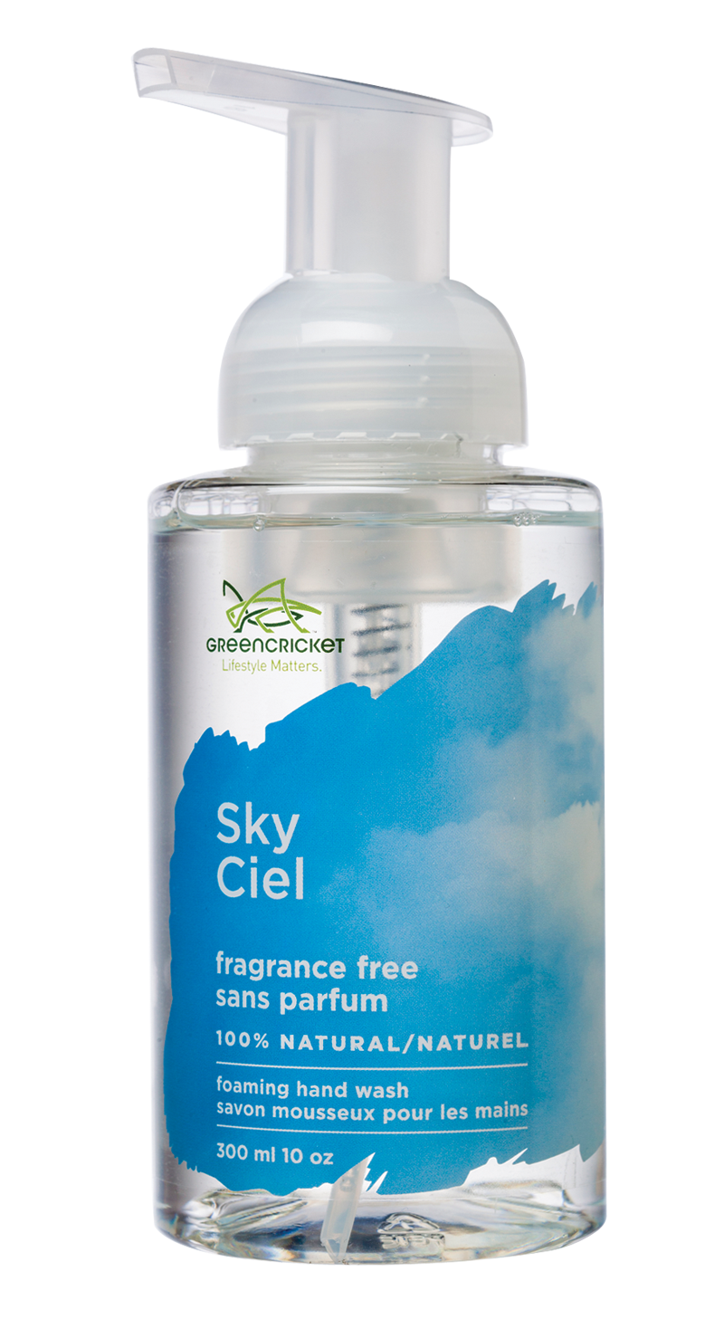 Fragrance Free Sky Foam Hand Wash