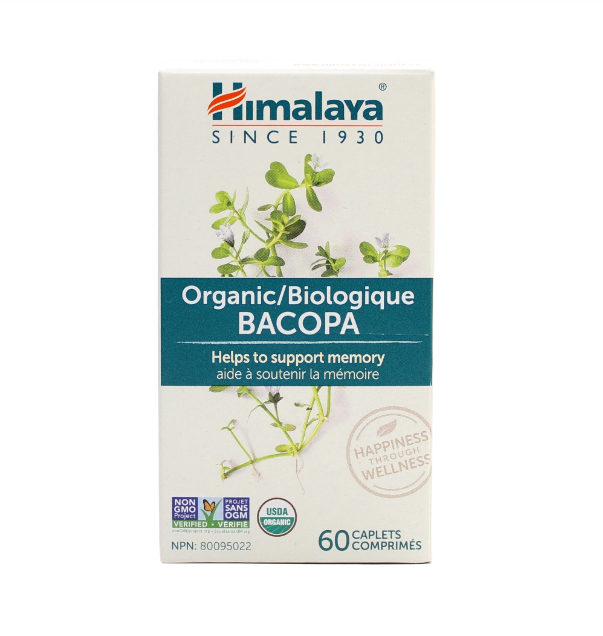 Bacopa - Mental Alertness