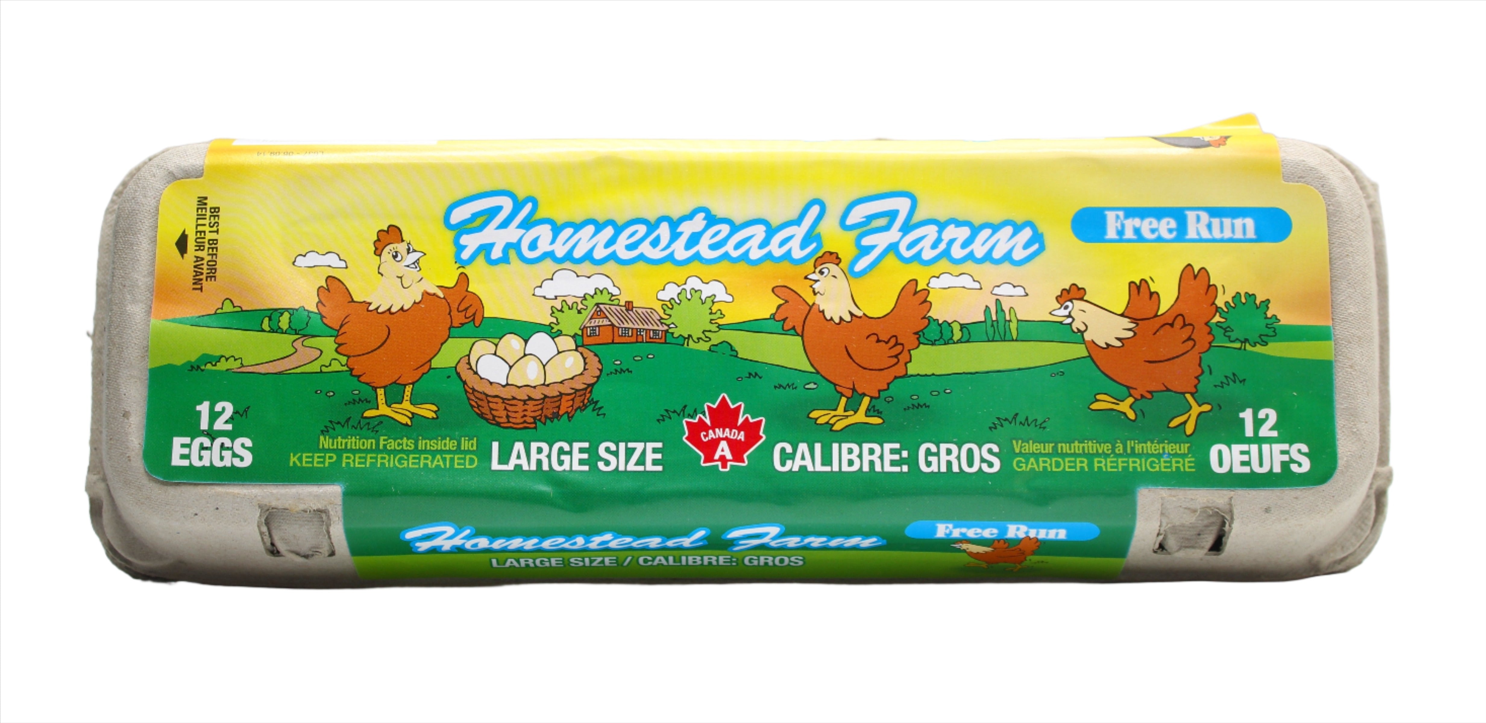 Large Brown Free Run Eggs