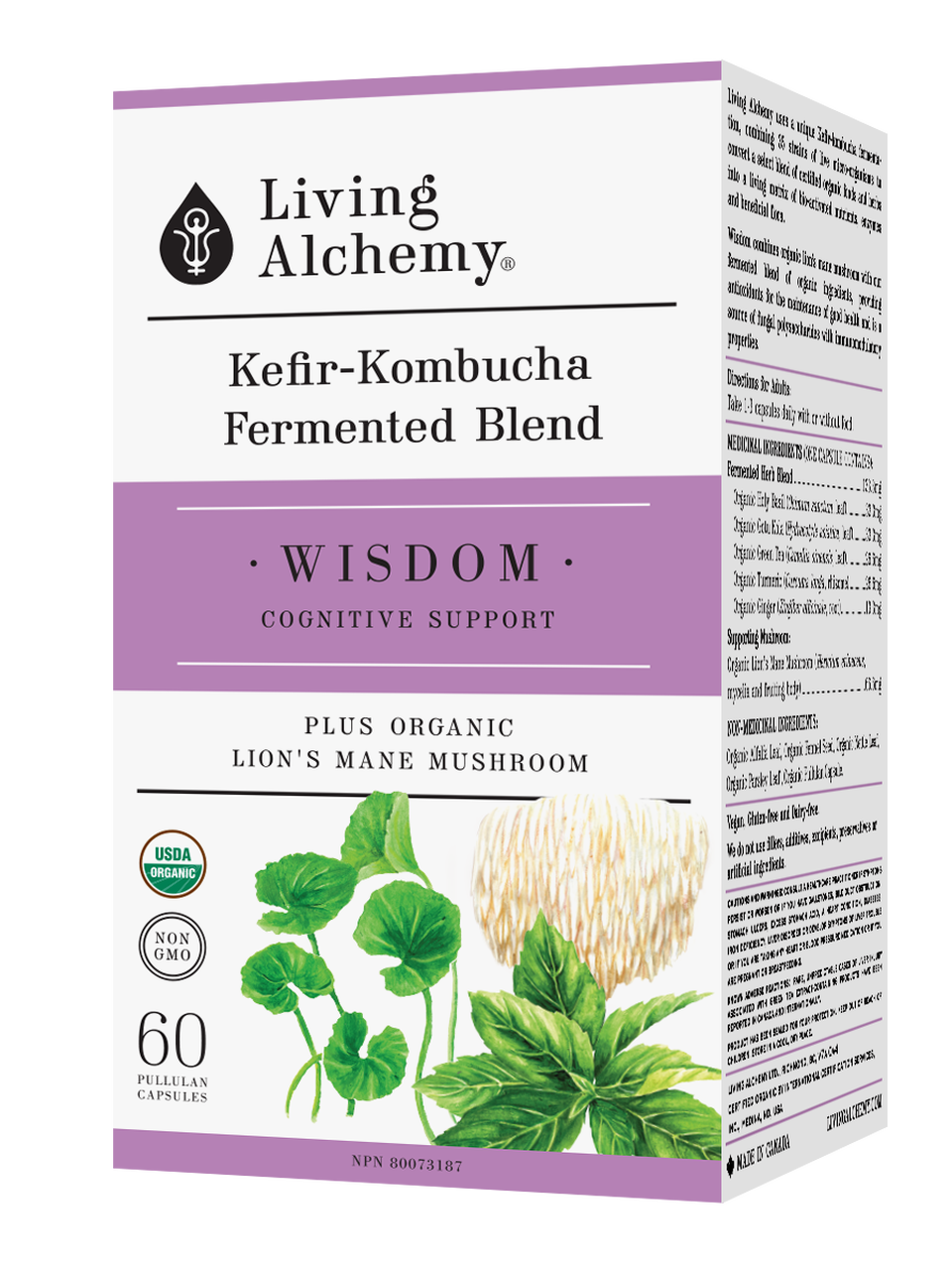 Wisdom Kefir-Kombucha Blend