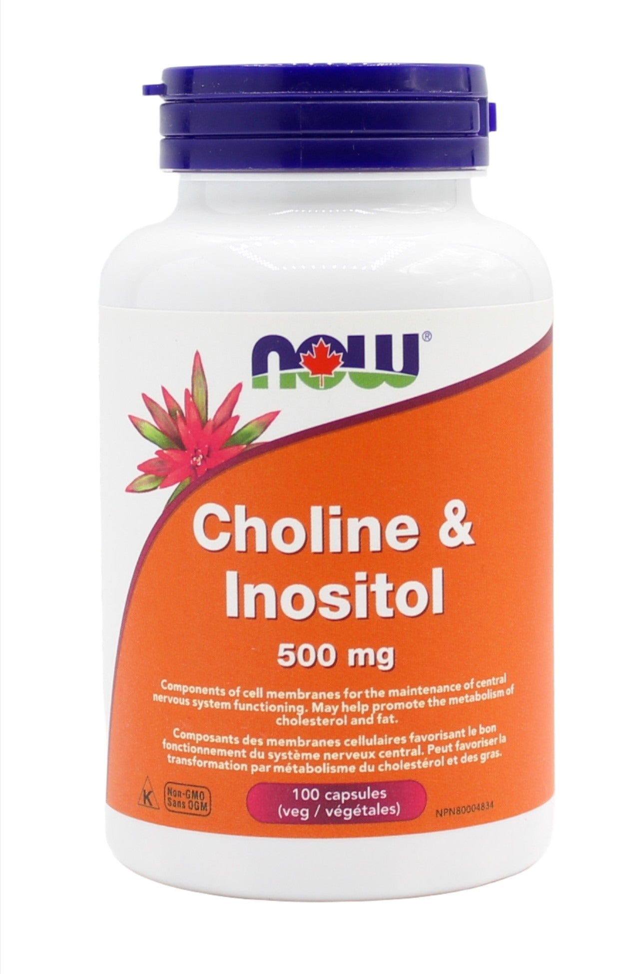Choline & Inositol - 500mg