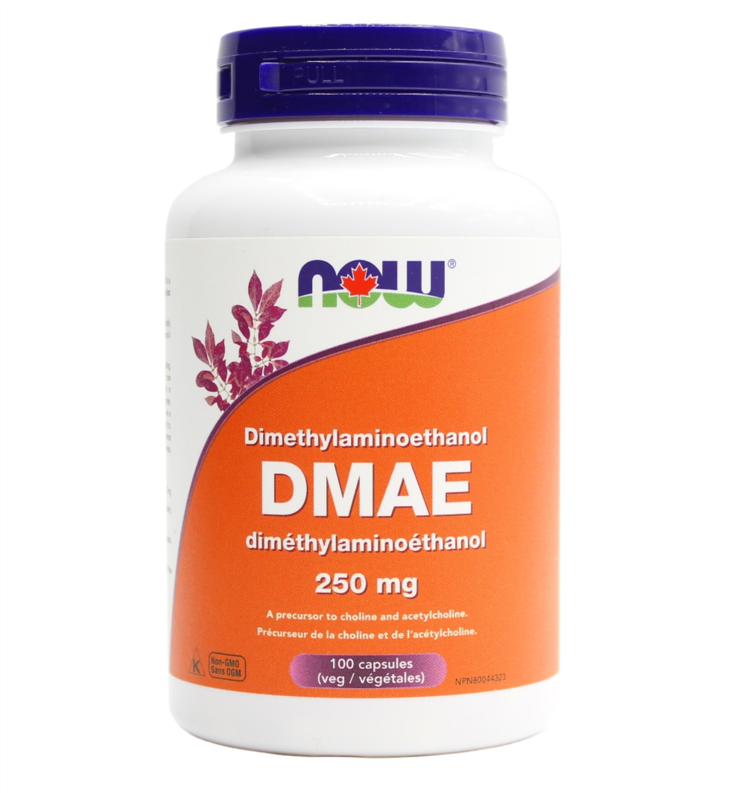 Now DMAE - 250mg