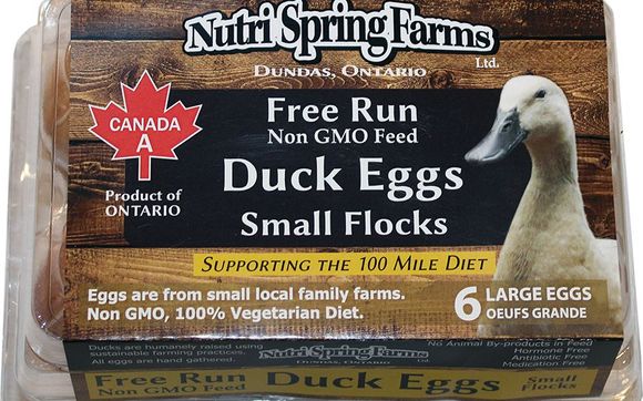 Free Run Duck Eggs