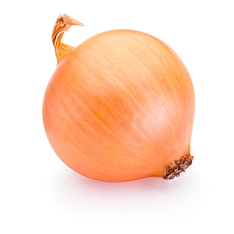 Organic Yellow Onion