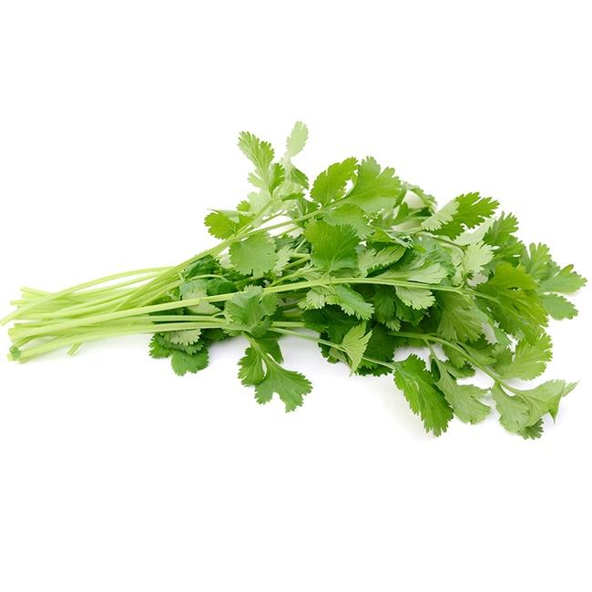 Produce Organic Cilantro