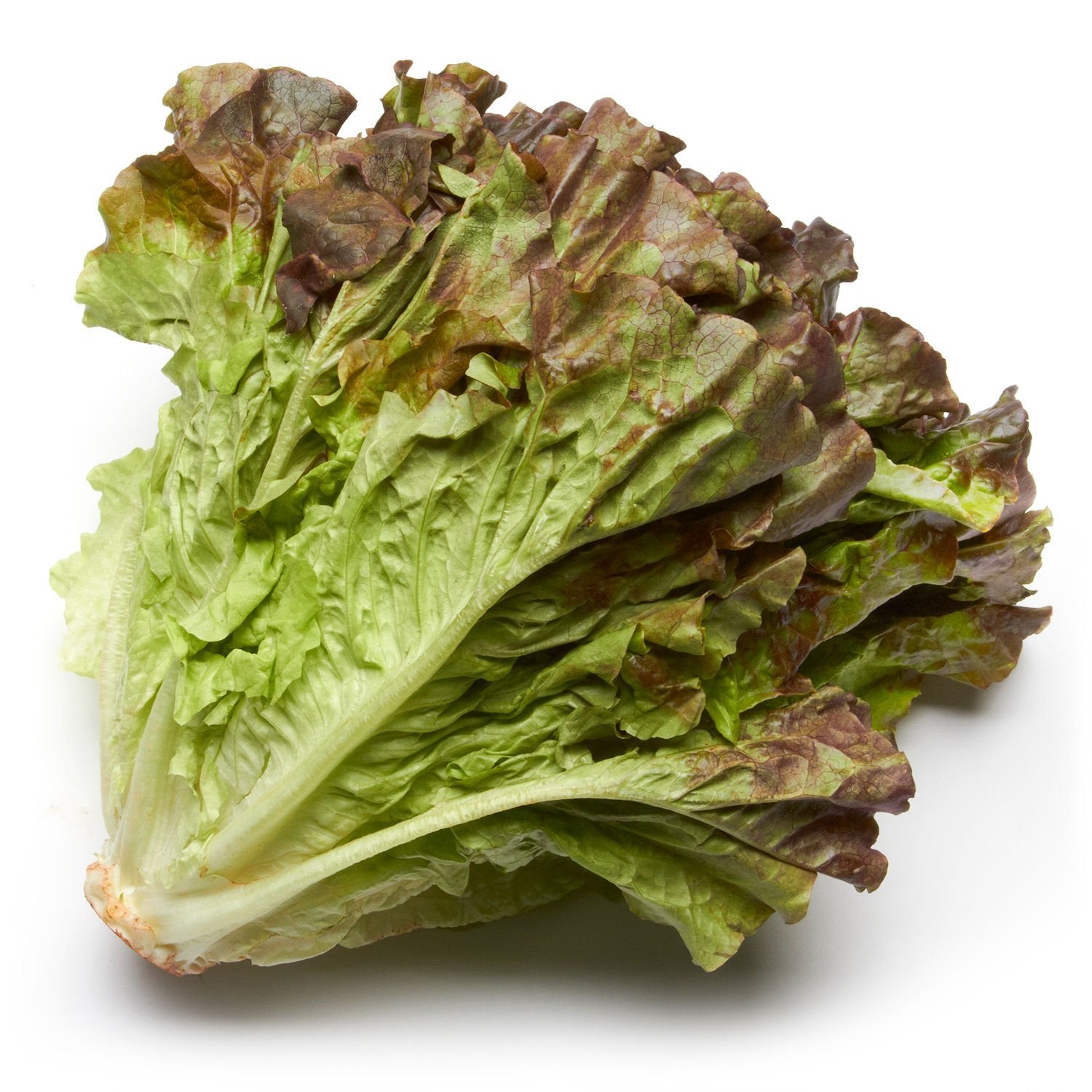 Produce Organic Red Leaf Lettuce