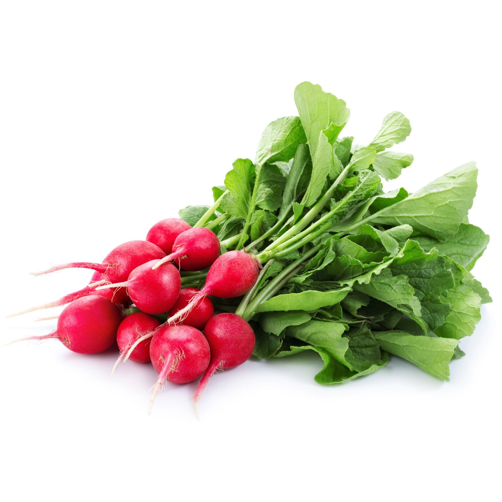 Produce Organic Red Radish Bunch