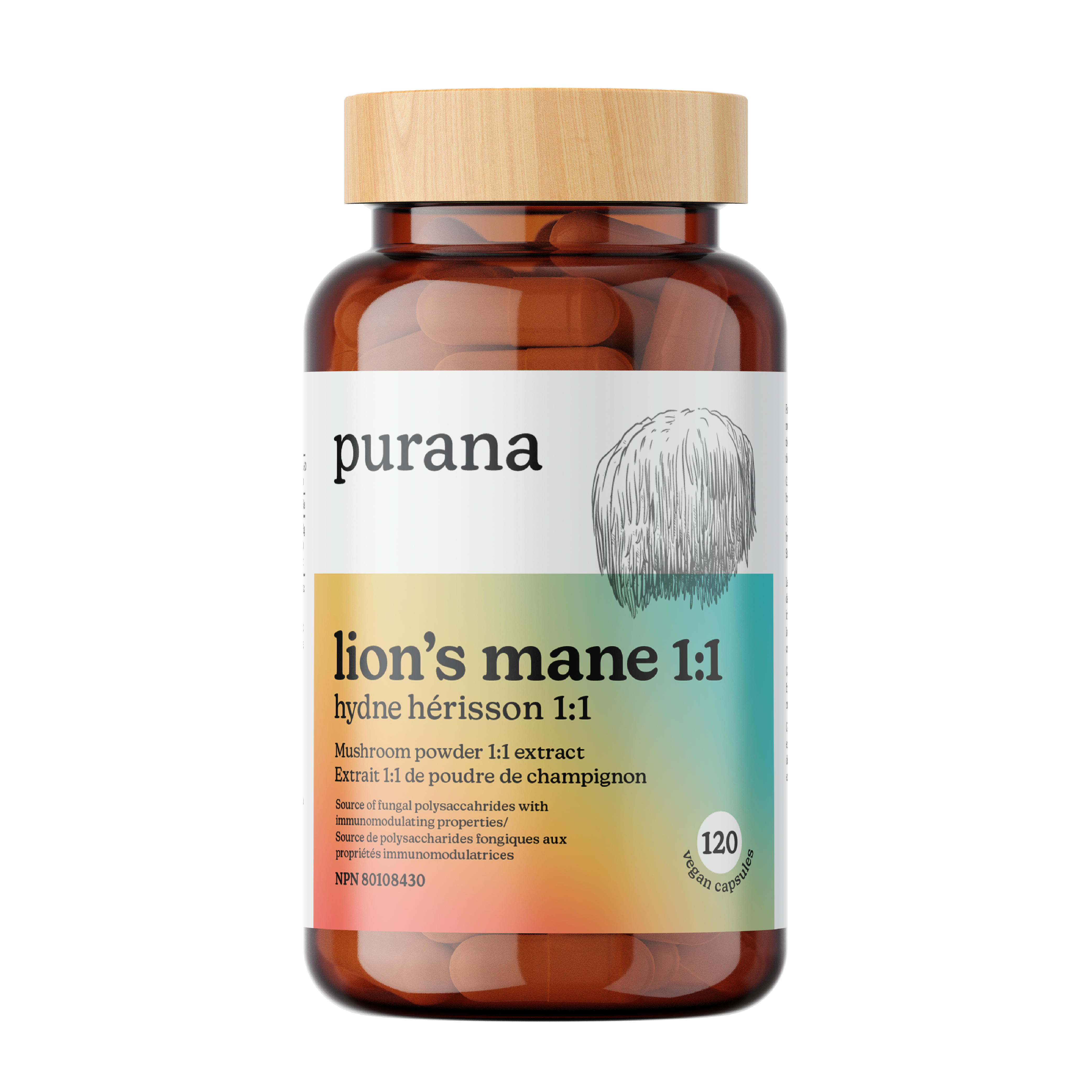 Lion's Mane 1:1 Extract