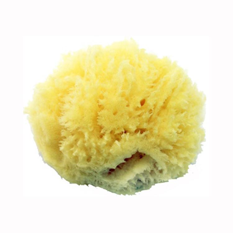 Martina Collection Sea Sponge