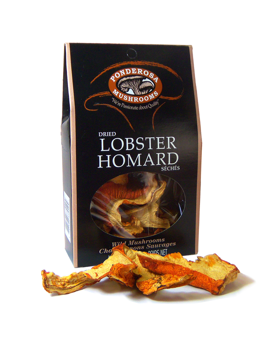 Ponderosa Dried Lobster Mushrooms