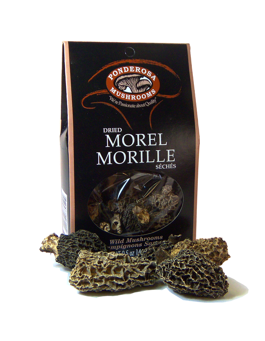 Ponderosa Dried Morel Mushrooms
