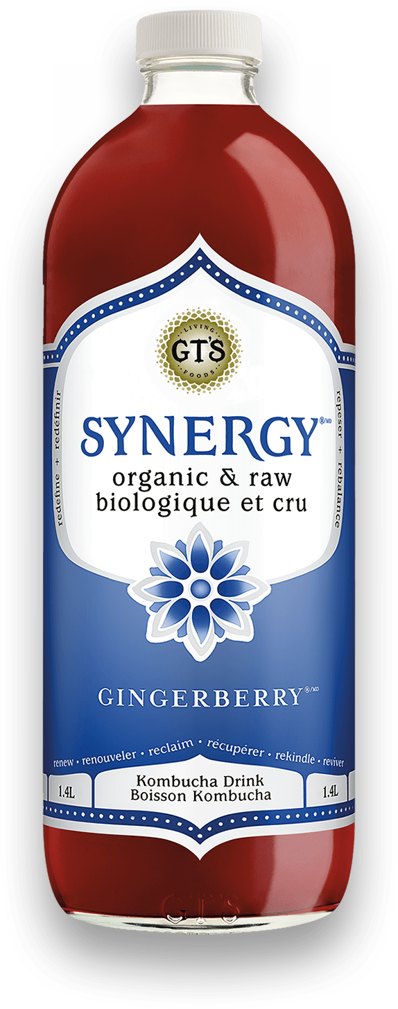 GT's Gingerberry Kombucha