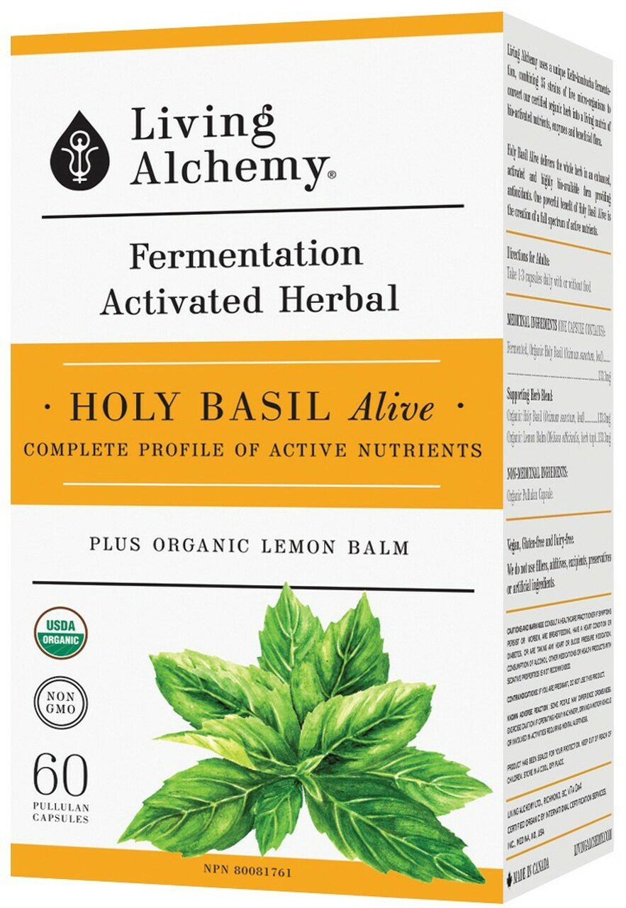 Living Alchemy Holy Basil Alive