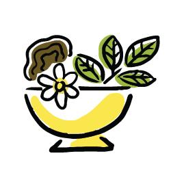Herbal Botanicals