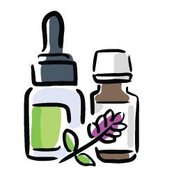 Essential Oils And Carrier Oils