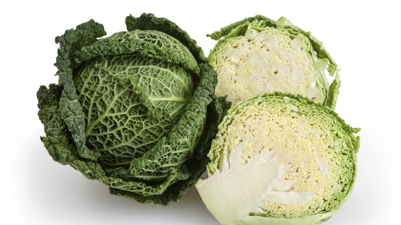 Organic Savoy Cabbage