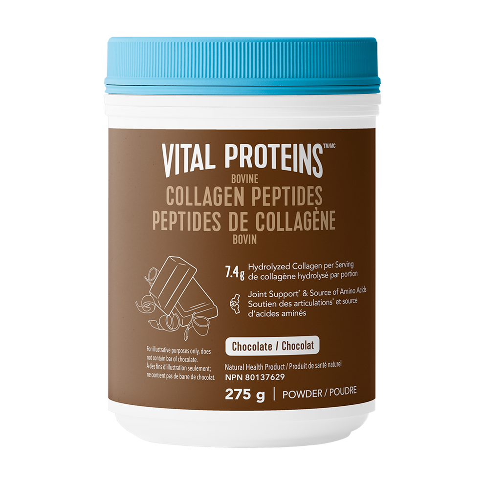 Chocolate Bovine Collagen Peptides