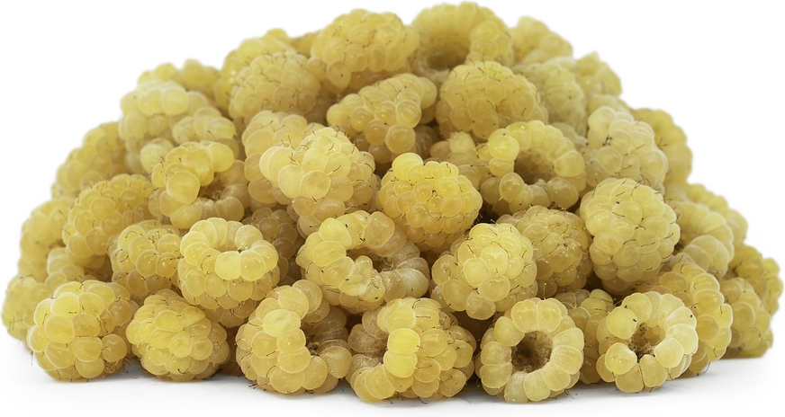 Organic Golden Raspberries