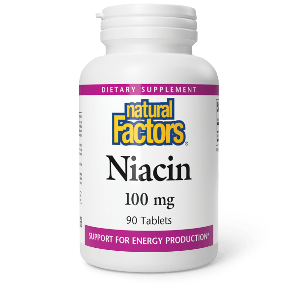 Natural Factors Niacin - 100mg