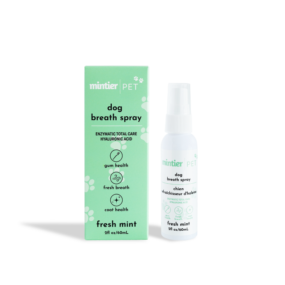Fresh Mint Dog Breath Spray