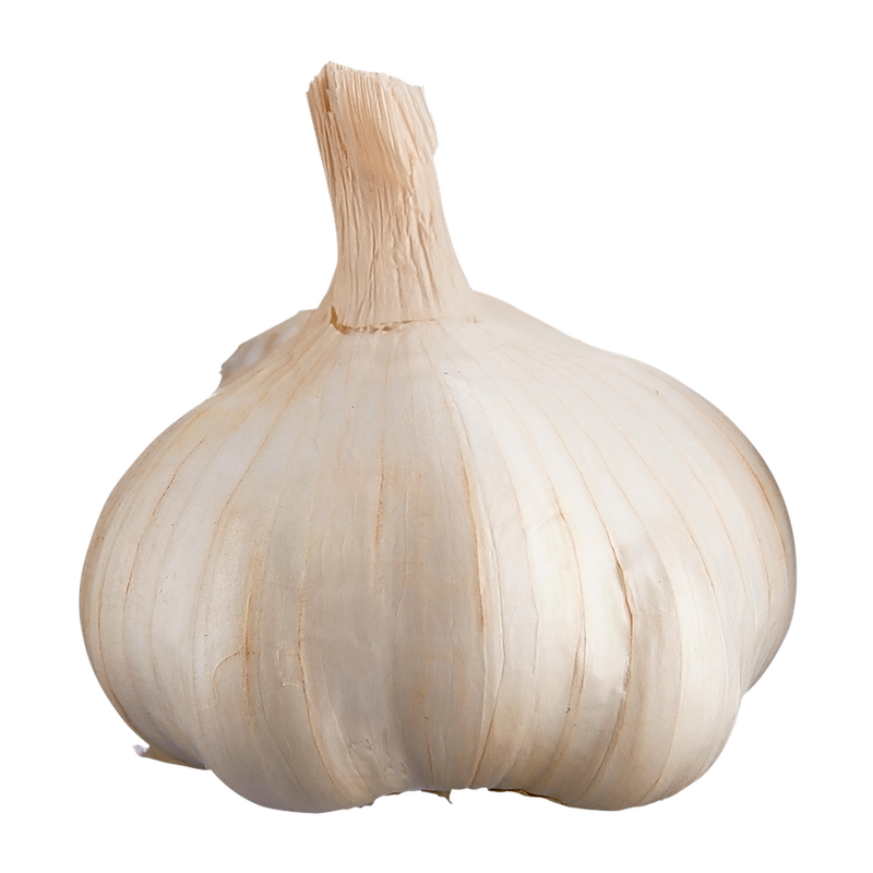 Organic Garlic