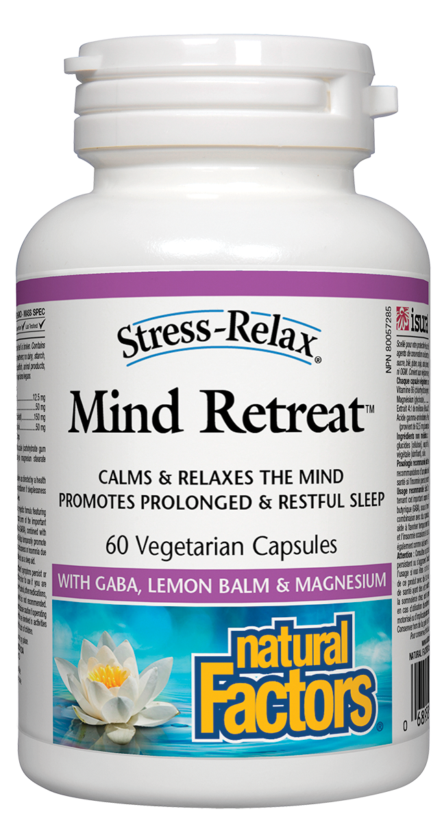 Mind Retreat