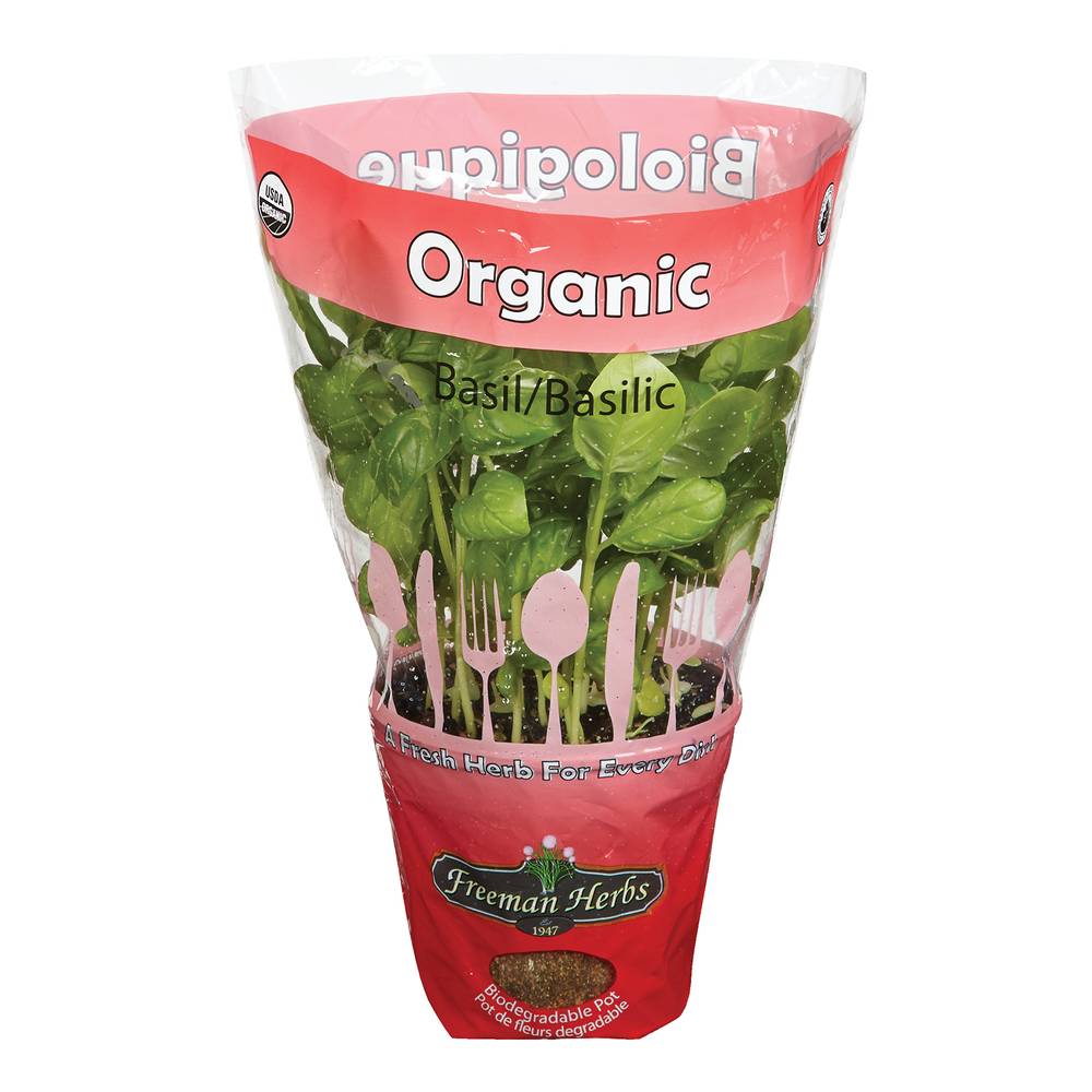Freeman Herbs Organic Basil 5.5"