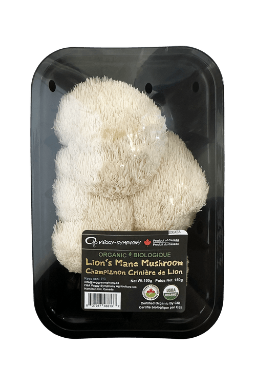 Organic Lion's Mane Mushroom