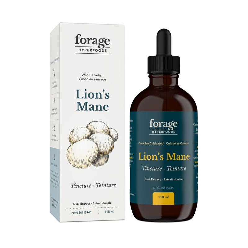 Original Lion's Mane Tincture