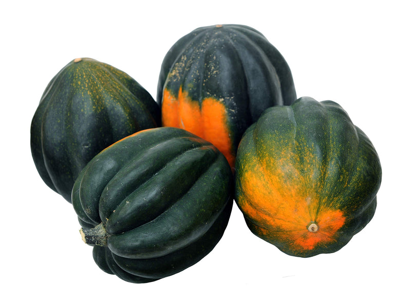 Organic Acorn Squash