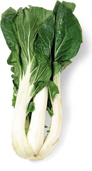 Produce Organic Bok Choy