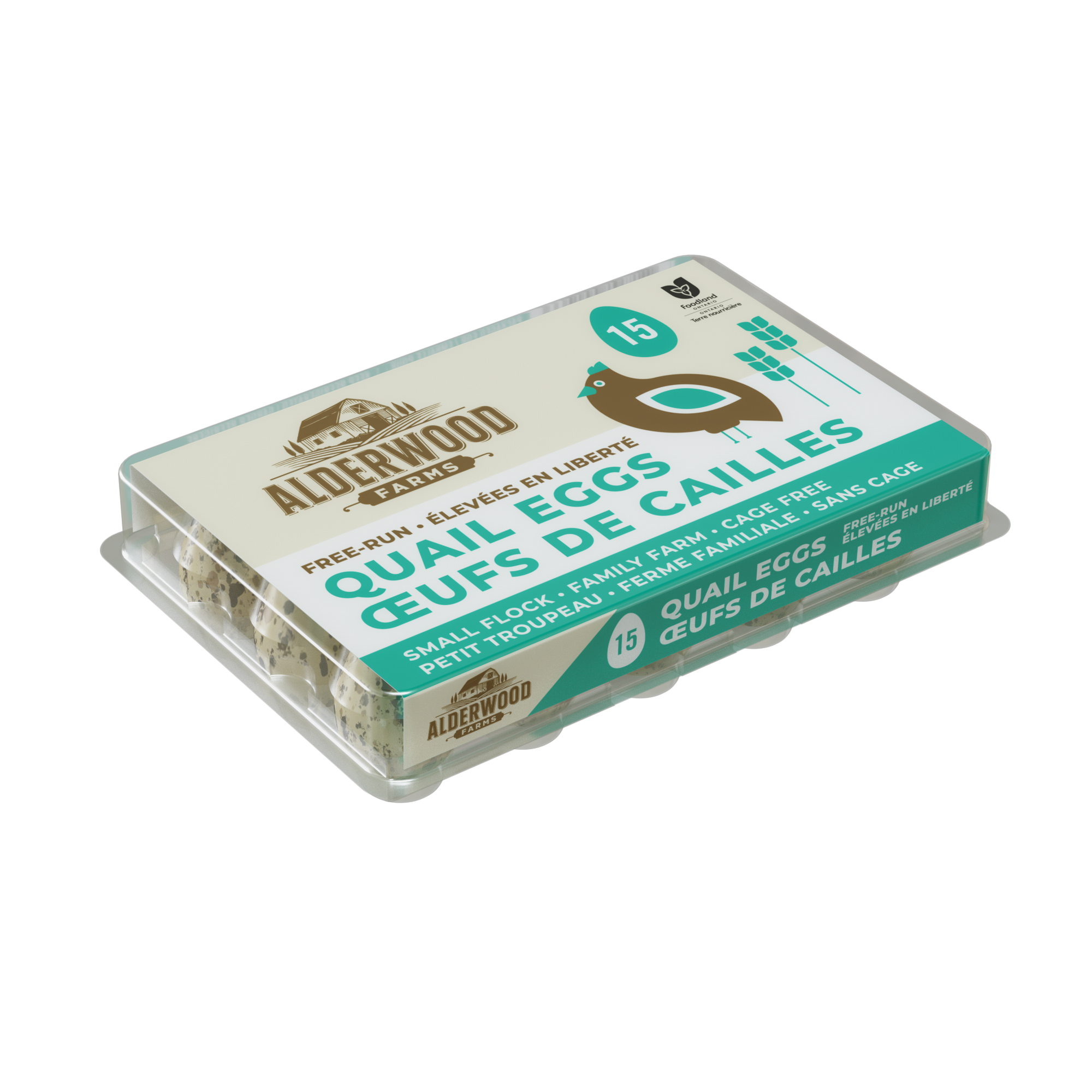 Free-Run Quail Eggs