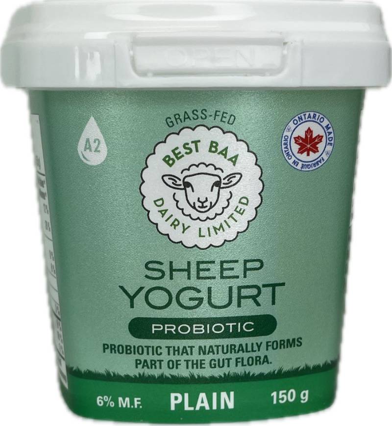 Plain Sheep Milk Yogurt