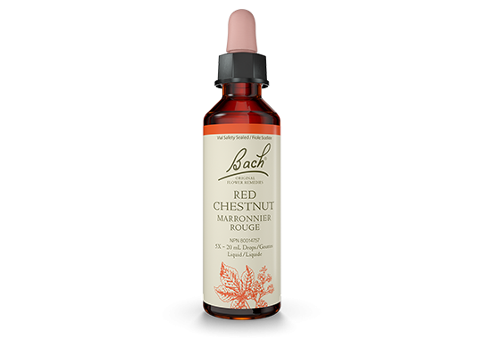 Red Chestnut Essences